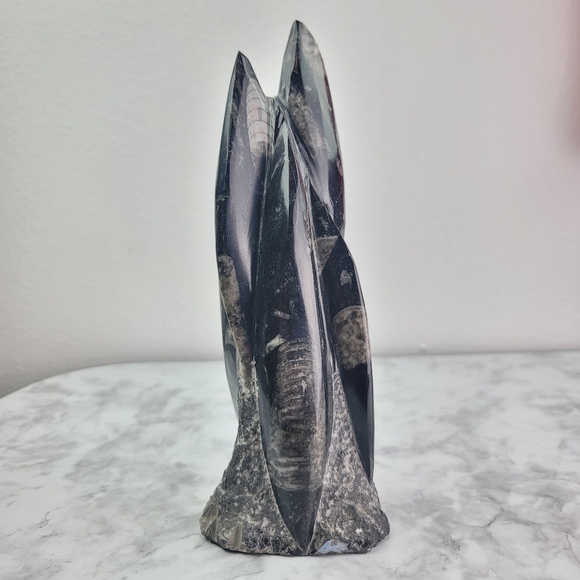 Orthoceras Fossil Home Decor Office Desk Bookend Display Black Gray Accent - Picture 14 of 16